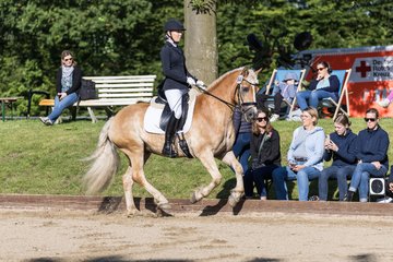 Bild 151 - Pony Akademie Turnier